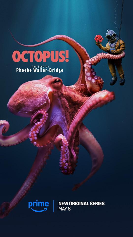 章鱼！[全集][中文字幕].Octopus.S01.2025.2160p