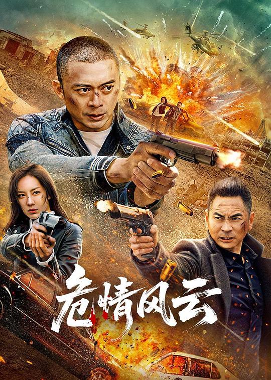 2025动作剧情《危情风云》1080p.HD国语中字